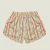 Men's Sports Casual Shorts Polyester Woven Quick-drying Full Printed Single Layer Beach Pants