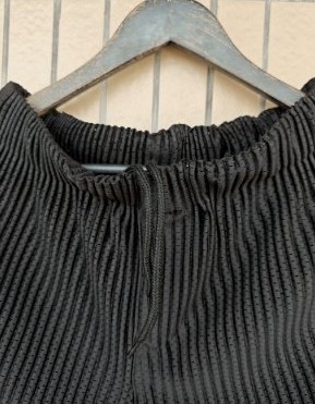 Draping Effect Elastic Waist Tie Hole Mesh Casual Pleated Shorts